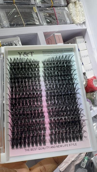 Y & T Cluster Lashes 